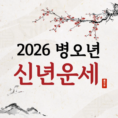 2026 신년운세 & 정통사주